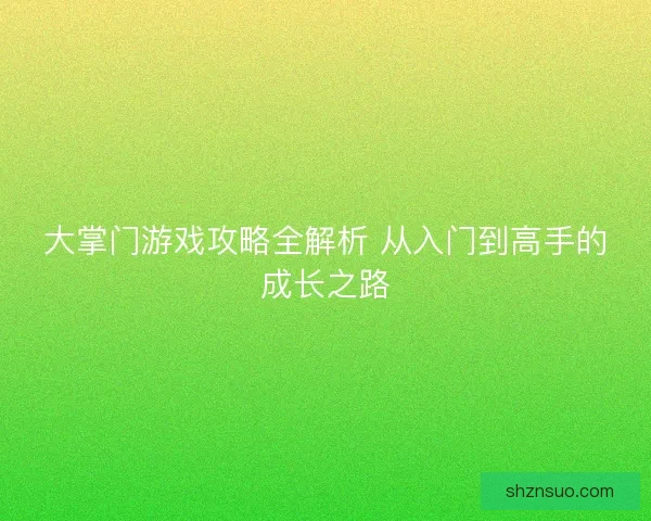 大掌门游戏攻略全解析 从入门到高手的成长之路