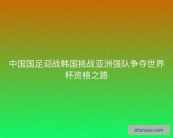 中国国足迎战韩国挑战亚洲强队争夺世界杯资格之路
