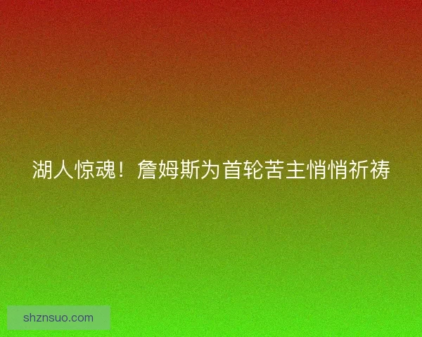 湖人惊魂！詹姆斯为首轮苦主悄悄祈祷