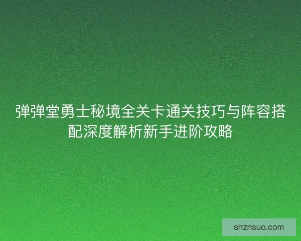 弹弹堂勇士秘境全关卡通关技巧与阵容搭配深度解析新手进阶攻略
